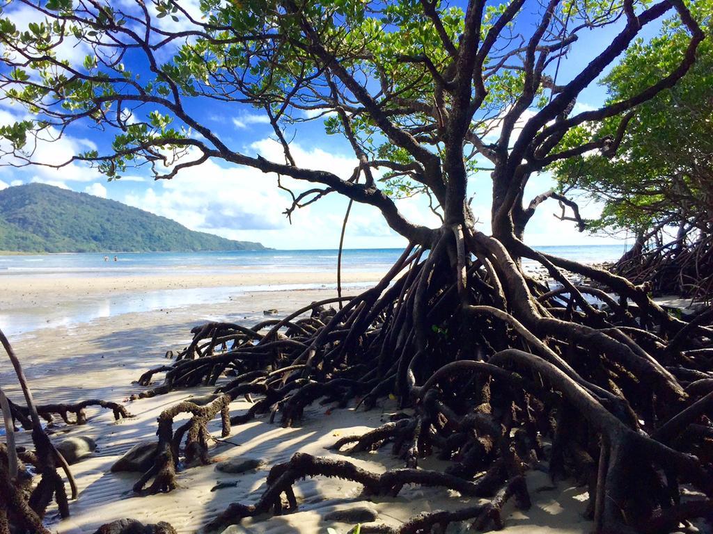 Cape Tribulation Holiday House Exterior foto