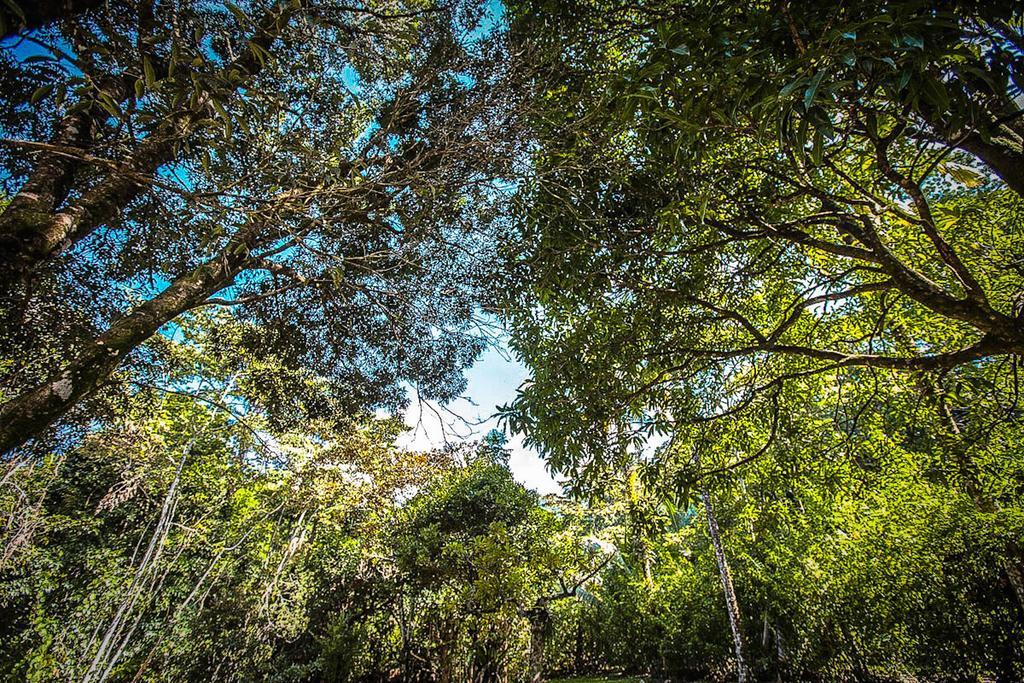 Cape Tribulation Holiday House Exterior foto